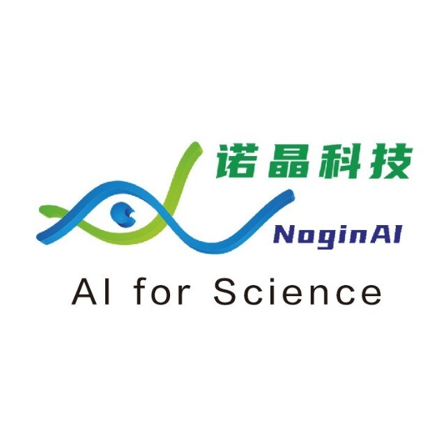 NoginAI logo